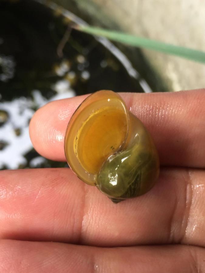 Meechok Organic Home Ao Nang Dış mekan fotoğraf