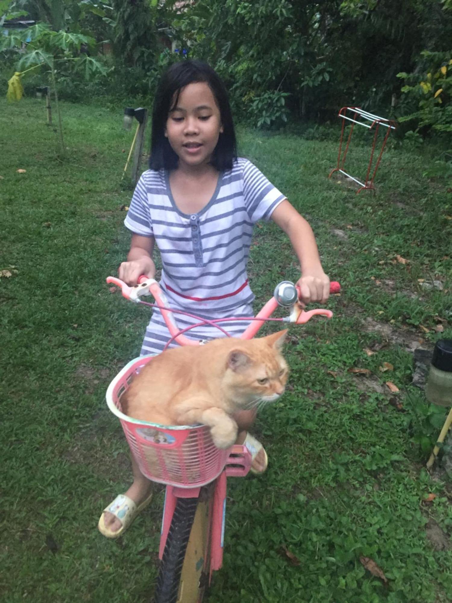 Meechok Organic Home Ao Nang Dış mekan fotoğraf