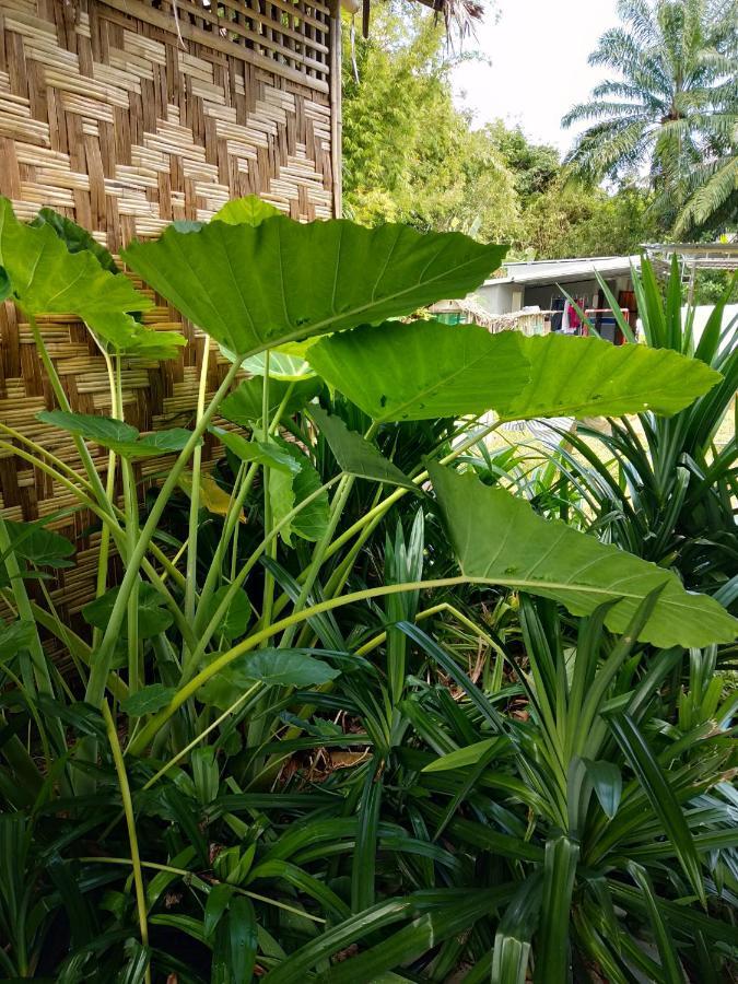 Meechok Organic Home Ao Nang Dış mekan fotoğraf